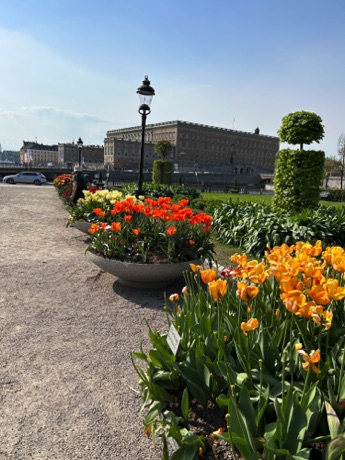plantings on street, Royal Palace in background